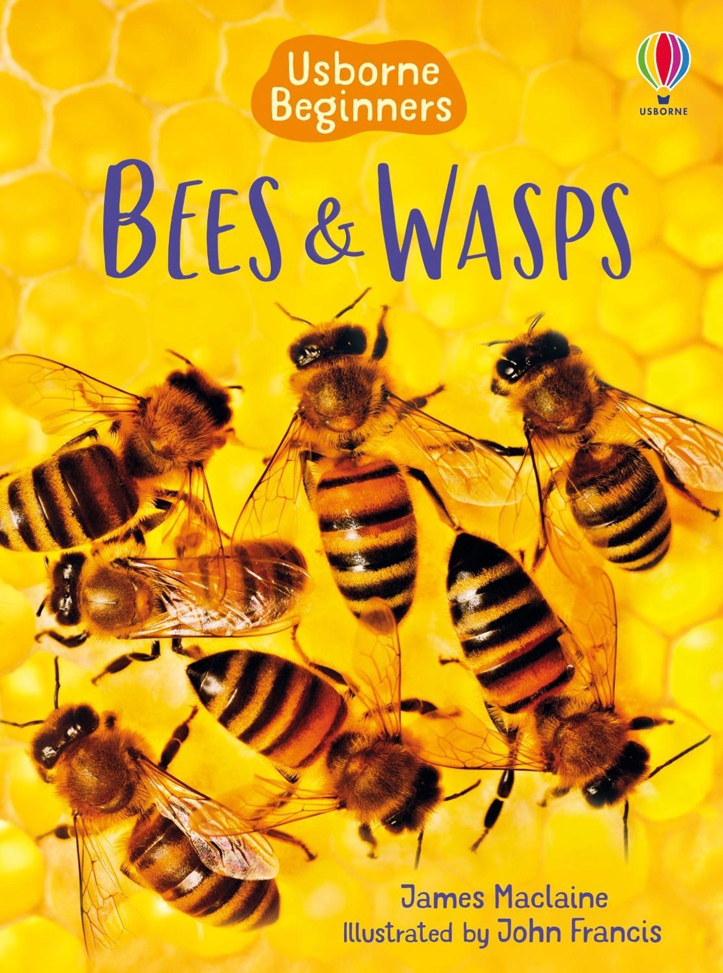 Bees & Wasps