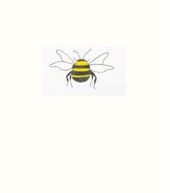 Bee Collection