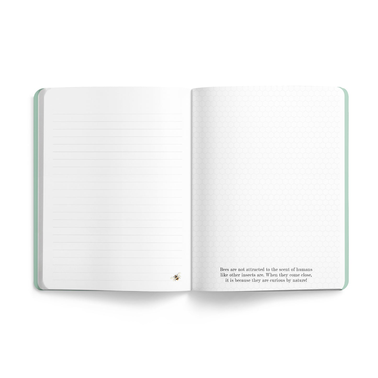 Bee Journal - Yellow