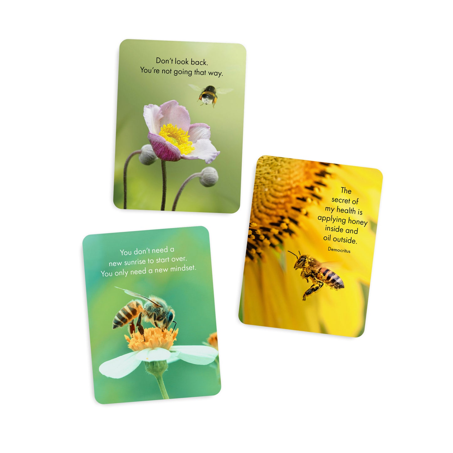 DBH - Bee Happy (24 Affirmation cards)