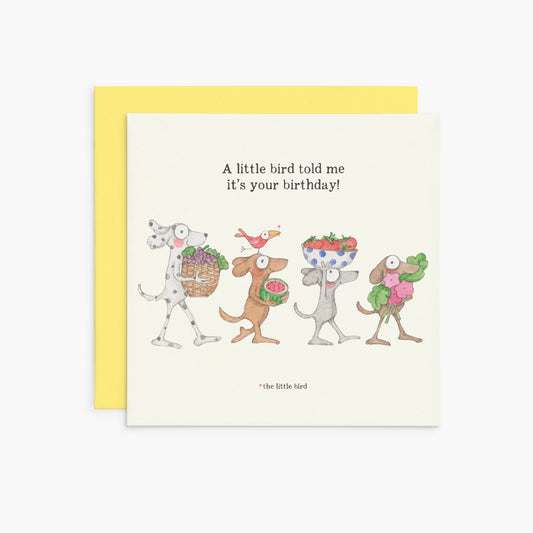 Twigseeds Birthday Card - A little Bird told me