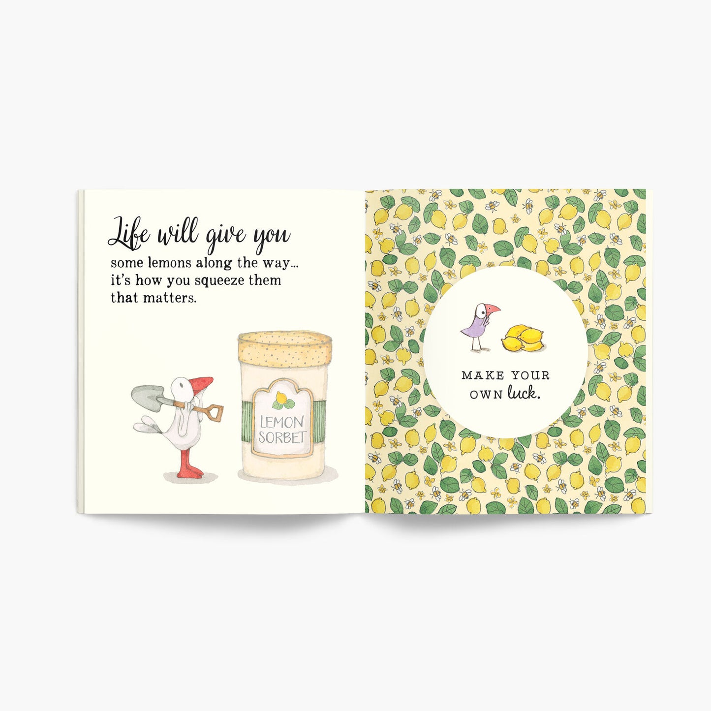 Twigseeds Quote Book - A Little Book of Luck