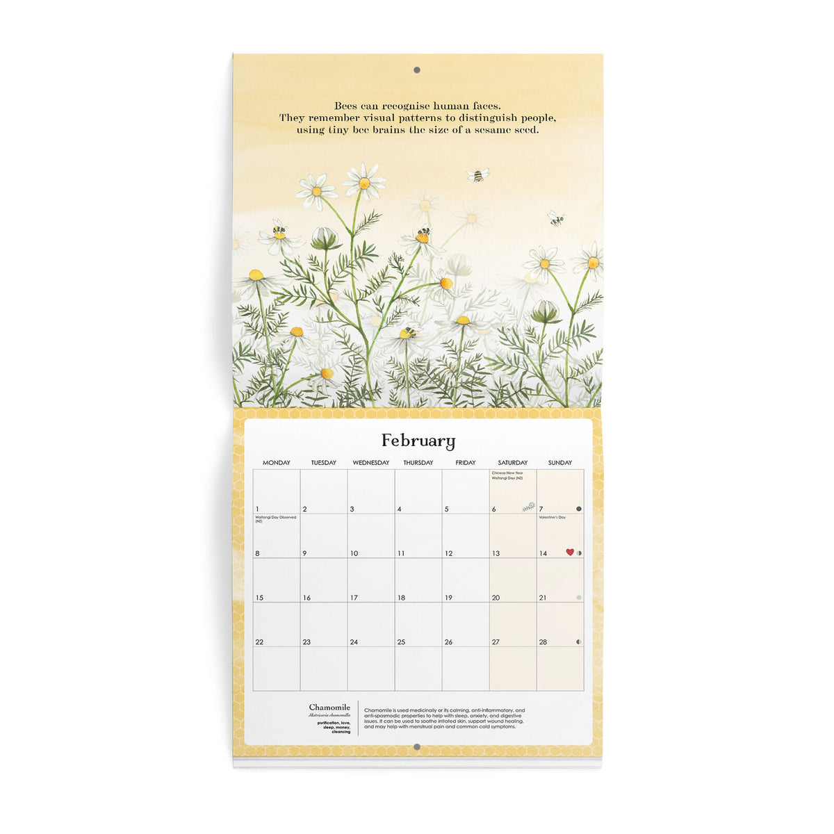 2027 Affirmations Nature Wall Calendar