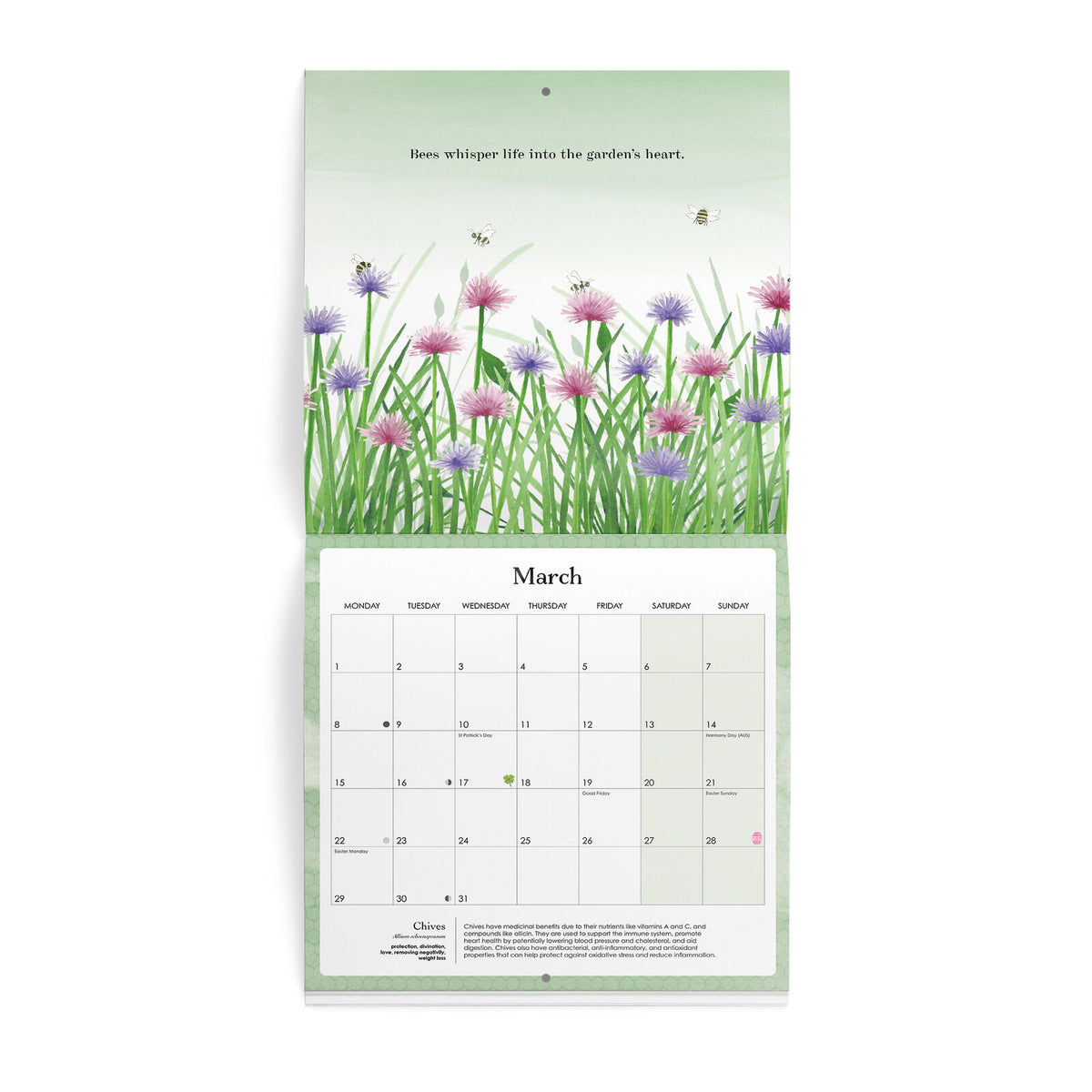 2027 Affirmations Nature Wall Calendar