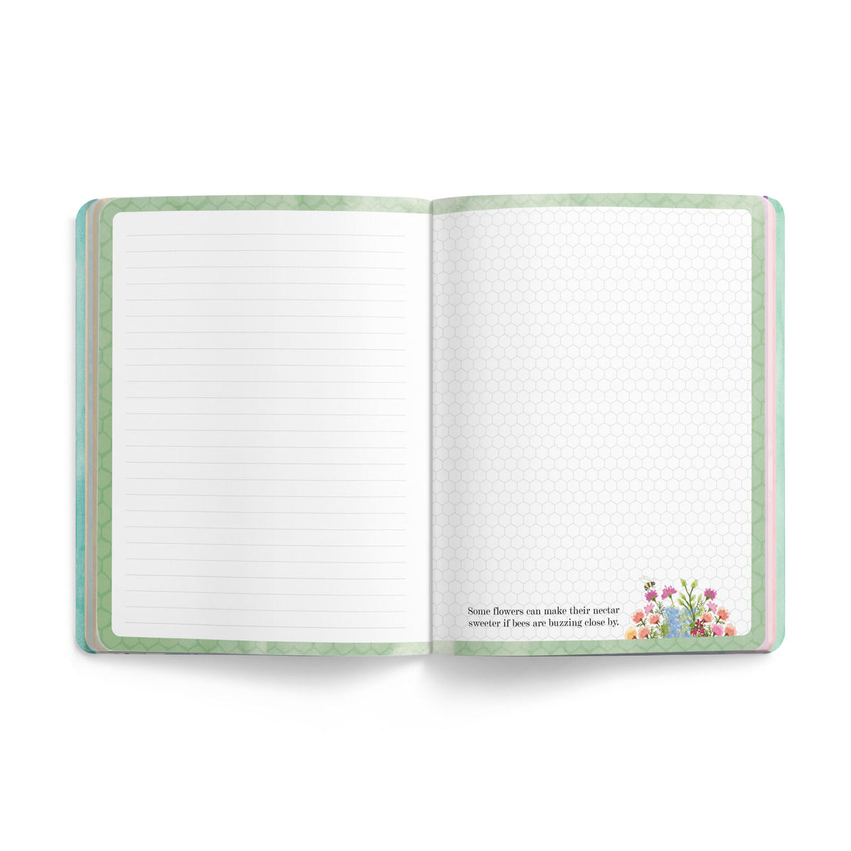 Sage Nature Journal