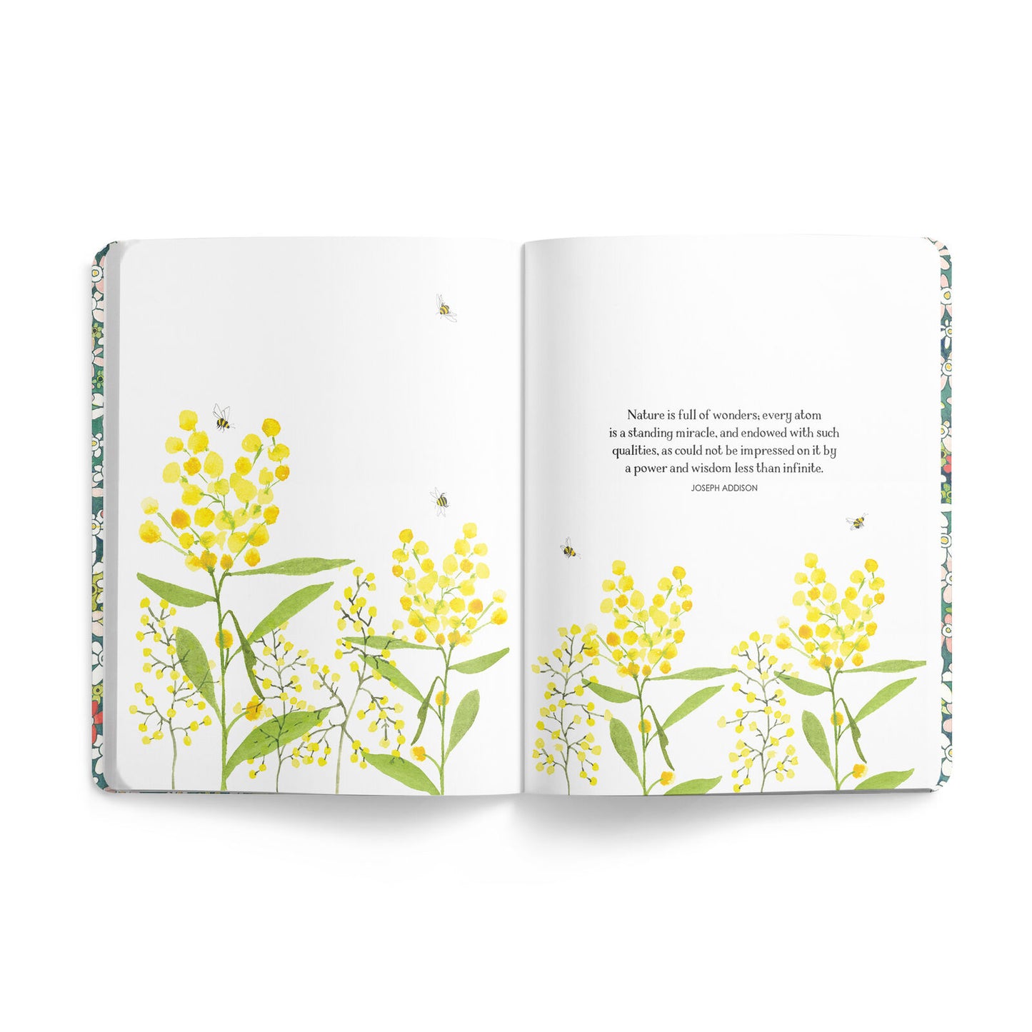 Bee Journal - Stripes