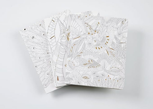 Millie Marotta's Tropical Wonderland: Set of 3 Journals
